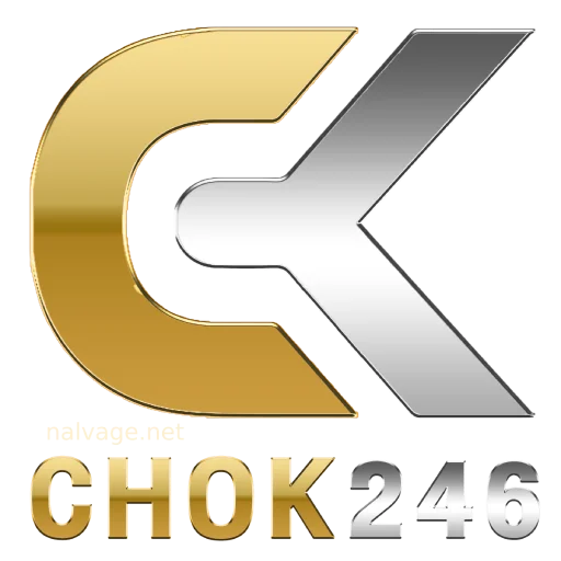 chok246 logo